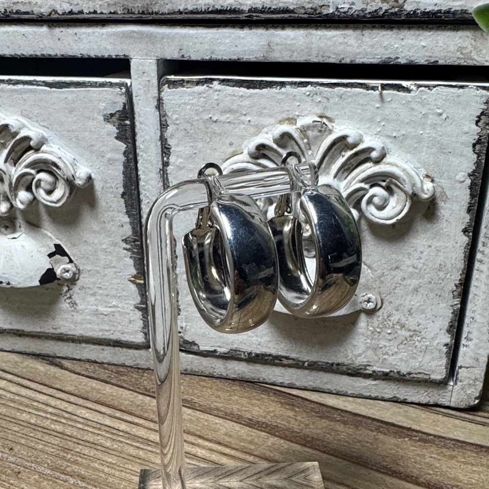 021.Costume Silver Hoop Earrings